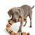FurryFusion Jouet en forme de saucisse pour chien FurryFusion Jouet en forme de saucisse pour chien