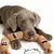FurryFusion Jouet en forme de saucisse pour chien FurryFusion Jouet en forme de saucisse pour chien