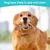 PetTribes Jouet à Mâcher Chien Résistant, Os Dentition PetTribes Jouet à Mâcher Chien Résistant, Os Dentition