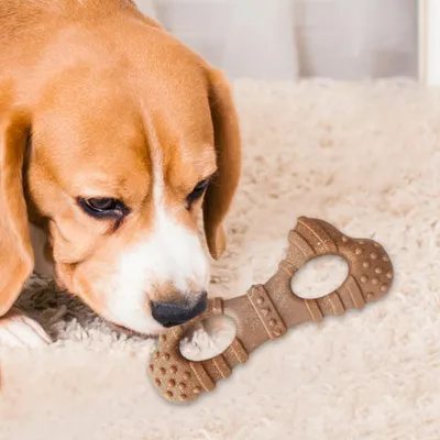 PetTribes Jouet à Mâcher Chien Résistant, Os Dentition PetTribes Jouet à Mâcher Chien Résistant, Os Dentition