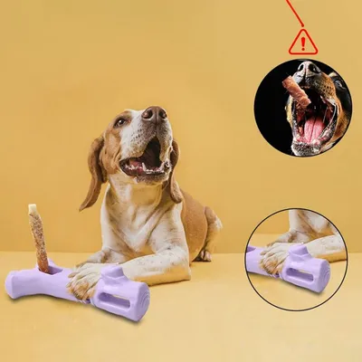 Support Bâton Mordant Chien Grand Format - PetTribes Support Bâton Mordant Chien Grand Format - PetTribes