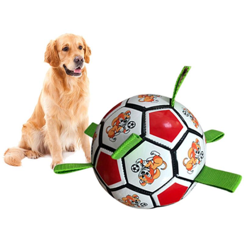 jouet de football pour morsure de chien