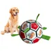 jouet de football pour morsure de chien