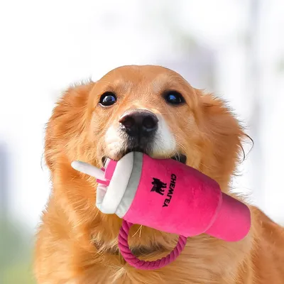 FurryFusion Jouet pour chien à grincer les dents et sonore FurryFusion Jouet pour chien à grincer les dents et sonore