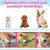 PetTribes Jouet Chien Anneau Double Dental PetTribes Jouet Chien Anneau Double Dental