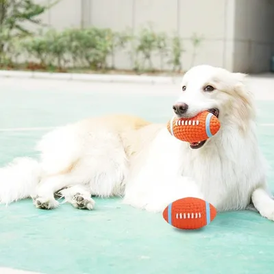PetTribes Jouet Balle Sonore en Latex pour Chien
