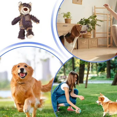 PetTribes Jouet pour Chien Ours Couineur Résistant PetTribes Jouet pour Chien Ours Couineur Résistant