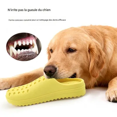 HausPets Jouet chaussure pour chien, anti - mordille HausPets Jouet chaussure pour chien, anti - mordille