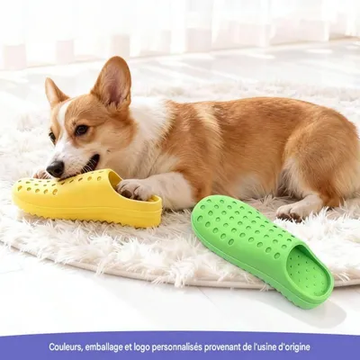 HausPets Jouet chaussure pour chien, anti - mordille HausPets Jouet chaussure pour chien, anti - mordille