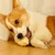 ZooVenture Jouets Chien Caoutchouc Blanc 2P ZooVenture Jouets Chien Caoutchouc Blanc 2P