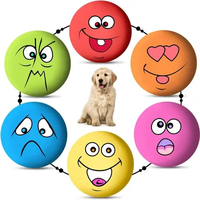 ZooVenture Balle Couinante Animal - Latex, 6 Couleurs, Interactif ZooVenture Balle Couinante Animal - Latex, 6 Couleurs, Interactif