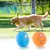 ZooVenture Balle Couinante Animal - Latex, 6 Couleurs, Interactif ZooVenture Balle Couinante Animal - Latex, 6 Couleurs, Interactif