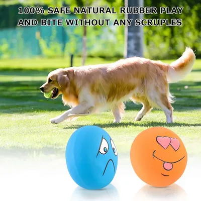 ZooVenture Balle Couinante Animal - Latex, 6 Couleurs, Interactif ZooVenture Balle Couinante Animal - Latex, 6 Couleurs, Interactif