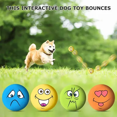 ZooVenture Balle Couinante Animal - Latex, 6 Couleurs, Interactif ZooVenture Balle Couinante Animal - Latex, 6 Couleurs, Interactif
