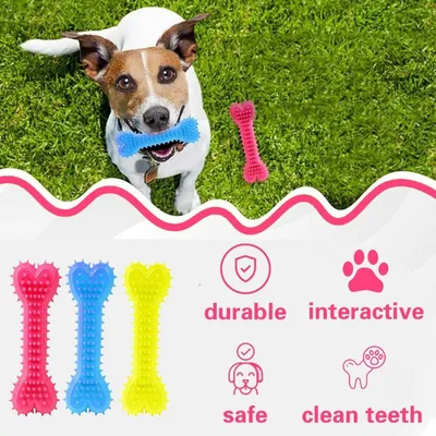 ZooVenture Jouet Nettoyage Dents Chien - Os, 10.5x4cm ZooVenture Jouet Nettoyage Dents Chien - Os, 10.5x4cm