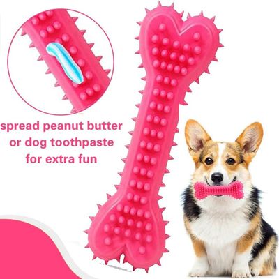 ZooVenture Jouet Nettoyage Dents Chien - Os, 10.5x4cm
