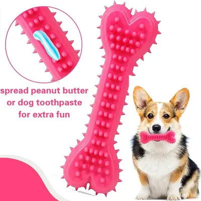 ZooVenture Jouet Nettoyage Dents Chien - Os, 10.5x4cm ZooVenture Jouet Nettoyage Dents Chien - Os, 10.5x4cm