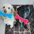 ZooVenture Jouet Nettoyage Dents Chien - Os, 10.5x4cm ZooVenture Jouet Nettoyage Dents Chien - Os, 10.5x4cm