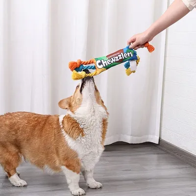 PetTribes Jouet à Mâcher Bonbon pour Chien