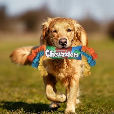 PetTribes Jouet à Mâcher Bonbon pour Chien