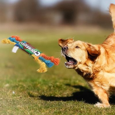 PetTribes Jouet à Mâcher Bonbon pour Chien