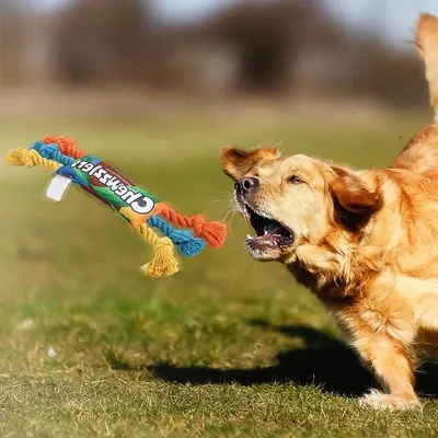 PetTribes Jouet à Mâcher Bonbon pour Chien