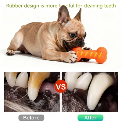 PetTribes Jouet à Mâcher Os Sonore pour Chien PetTribes Jouet à Mâcher Os Sonore pour Chien