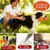 PetTribes Jouet à Mâcher Os Sonore pour Chien PetTribes Jouet à Mâcher Os Sonore pour Chien