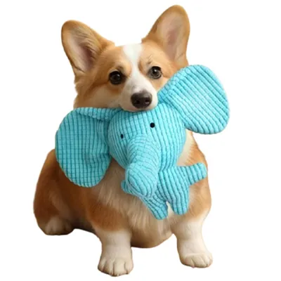 FurryFusion Jouet en peluche d'éléphant pour chiens FurryFusion Jouet en peluche d'éléphant pour chiens