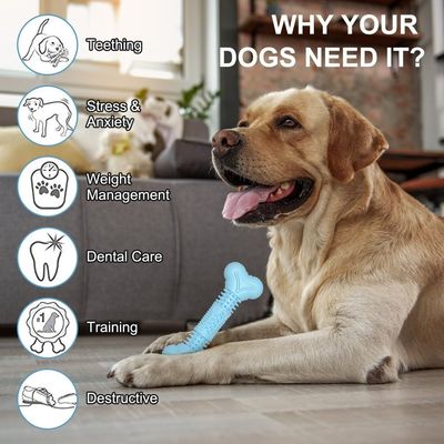 PetTribes Jouet Chien Os Molaire Squeaky