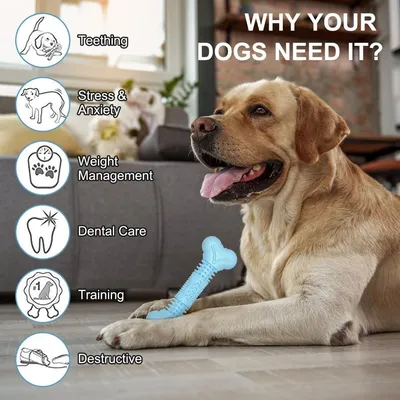 PetTribes Jouet Chien Os Molaire Squeaky PetTribes Jouet Chien Os Molaire Squeaky