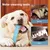 PetTribes Jouet Chien Os Molaire Squeaky PetTribes Jouet Chien Os Molaire Squeaky