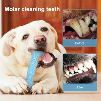 PetTribes Jouet Chien Os Molaire Squeaky PetTribes Jouet Chien Os Molaire Squeaky