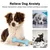 PetTribes Jouet Chien Os Molaire Squeaky PetTribes Jouet Chien Os Molaire Squeaky