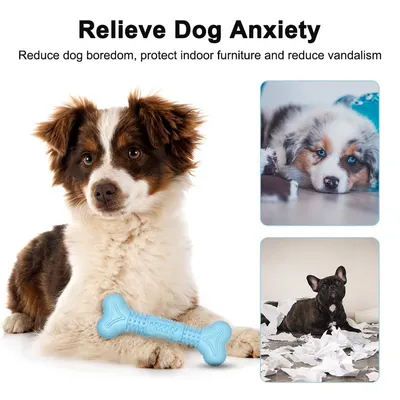 PetTribes Jouet Chien Os Molaire Squeaky PetTribes Jouet Chien Os Molaire Squeaky