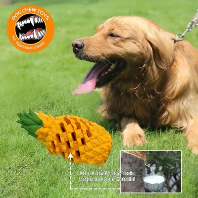 ZooVenture Jouet Mache Ananas Caoutchouc Chien 7.1 pouces