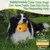 ZooVenture Jouet Mache Ananas Caoutchouc Chien 7.1 pouces