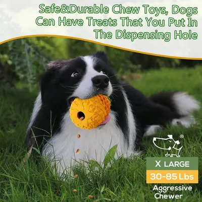 ZooVenture Jouet Mache Ananas Caoutchouc Chien 7.1 pouces