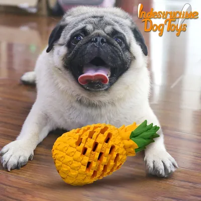 ZooVenture Jouet Mache Ananas Caoutchouc Chien 7.1 pouces