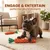 HausPets Lot de 4 Jouets Chien Carotte Corde Tressée 22cm HausPets Lot de 4 Jouets Chien Carotte Corde Tressée 22cm