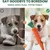 HausPets Lot de 4 Jouets Chien Carotte Corde Tressée 22cm HausPets Lot de 4 Jouets Chien Carotte Corde Tressée 22cm