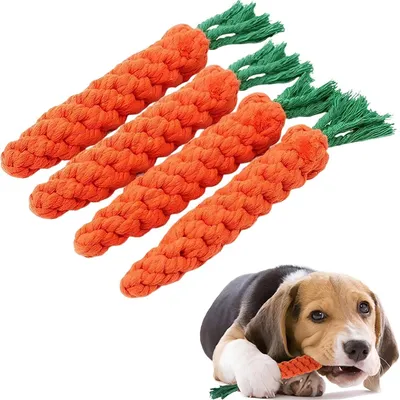 HausPets Lot de 4 Jouets Chien Carotte Corde Tressée 22cm HausPets Lot de 4 Jouets Chien Carotte Corde Tressée 22cm