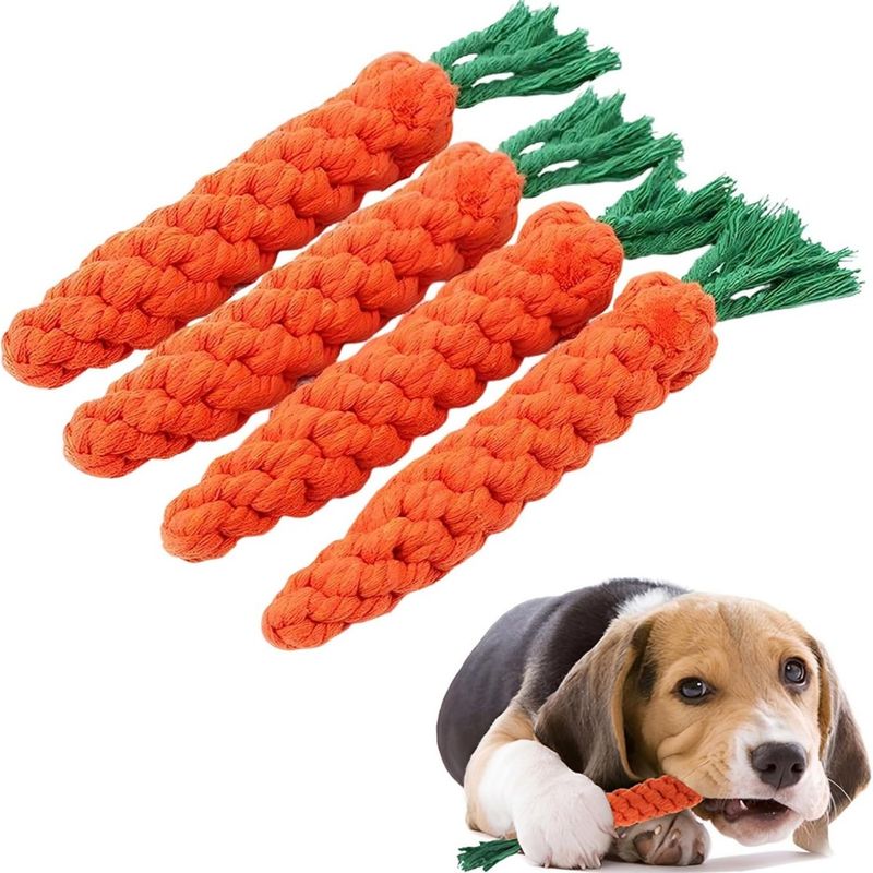 HausPets 4er Pack Hunde Spielzeuge Karotte Geflochtenes Seil 22cm