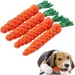HausPets 4er Pack Hunde Spielzeuge Karotte Geflochtenes Seil 22cm