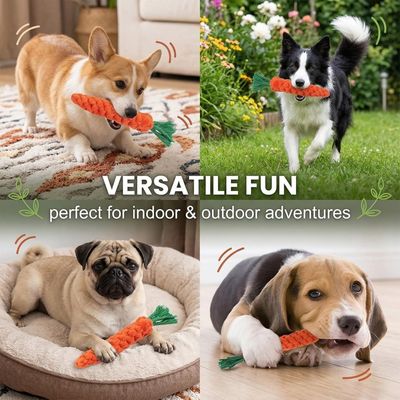 HausPets Lot de 4 Jouets Chien Carotte Corde Tressée 22cm