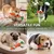 HausPets Lot de 4 Jouets Chien Carotte Corde Tressée 22cm HausPets Lot de 4 Jouets Chien Carotte Corde Tressée 22cm