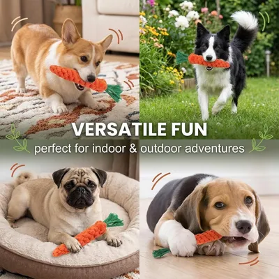 HausPets Lot de 4 Jouets Chien Carotte Corde Tressée 22cm HausPets Lot de 4 Jouets Chien Carotte Corde Tressée 22cm