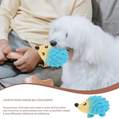 HausPets Jouet pour chien en latex naturel en forme d'oursin coloré HausPets Jouet pour chien en latex naturel en forme d'oursin coloré