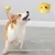 FurryFusion Balle sonore poisson bondissant pour chiens FurryFusion Balle sonore poisson bondissant pour chiens