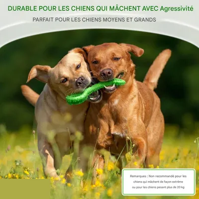 ZooVenture Os Chien Géant - Caoutchouc, 13 Pouces, Vert ZooVenture Os Chien Géant - Caoutchouc, 13 Pouces, Vert